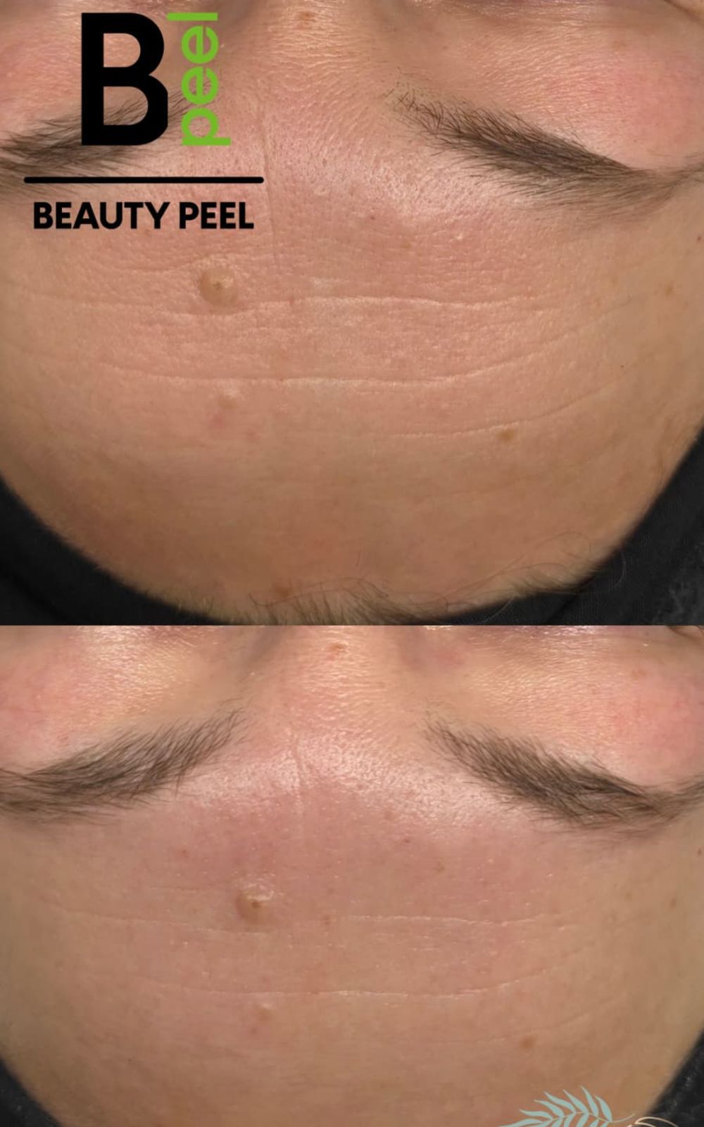 Untitled design - 2026-04-13T230401.381